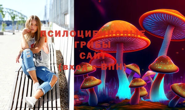 кокс Нефтекумск