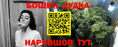 прущие крисы Абакан