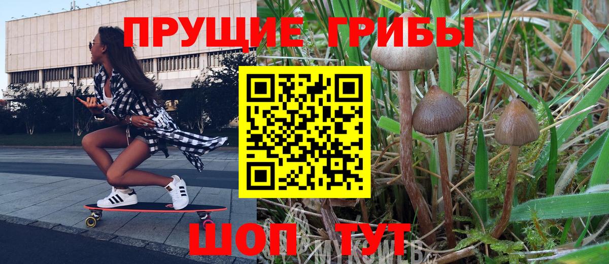 Галлюциногенные грибы GOLDEN TEACHER Мыски